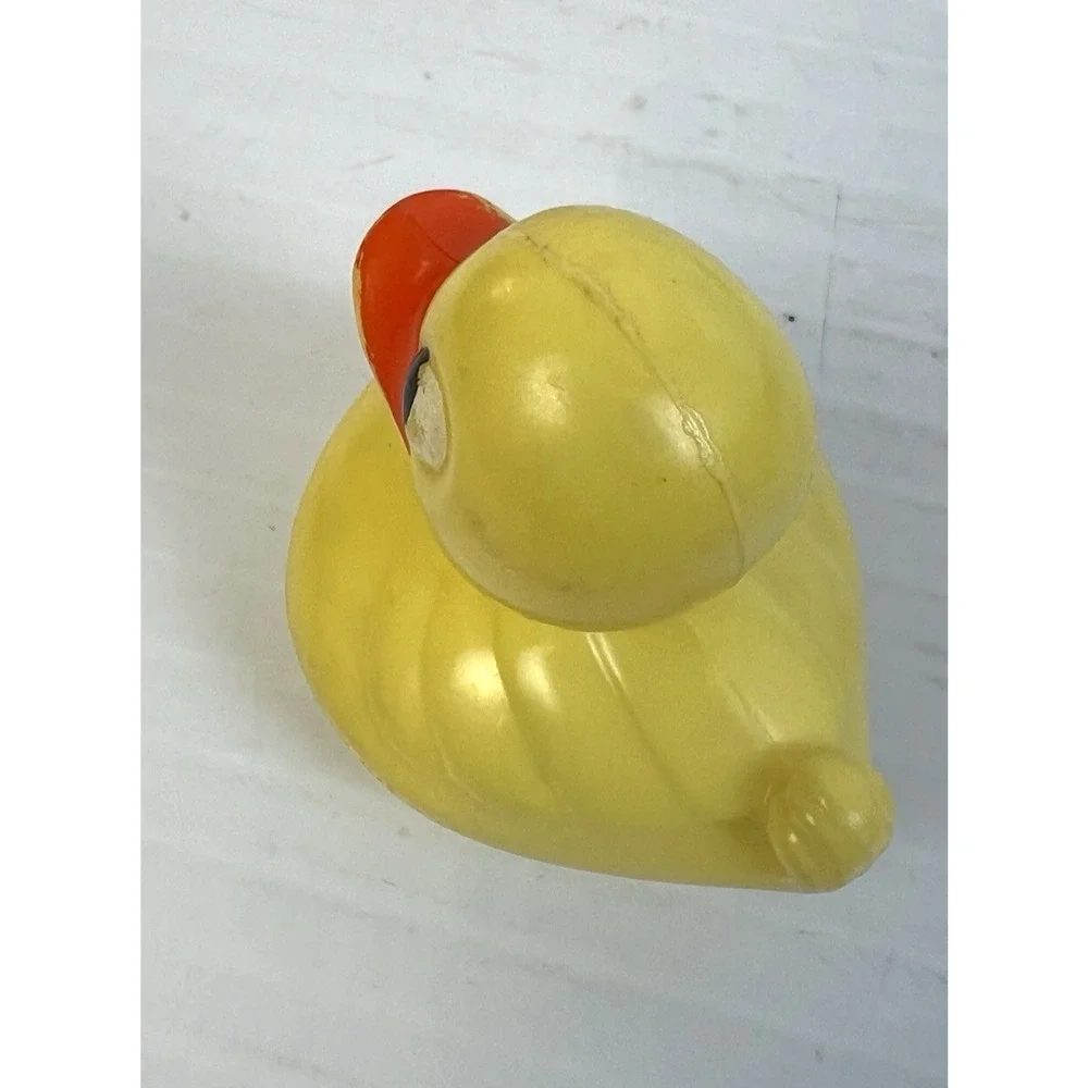 Vintage duck fish